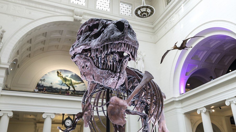 Places Every Dinosaur Fan Needs To Visit