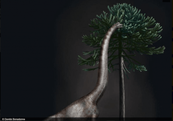 Brachiosaurus-1