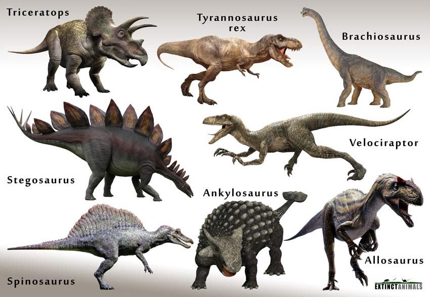 Name-of-Dinosaurs.jpg
