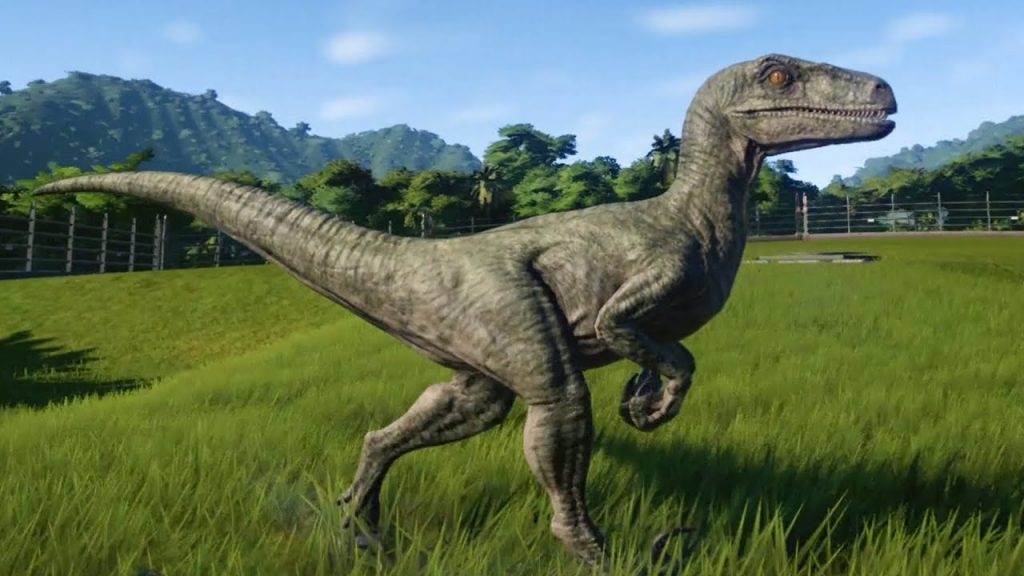 Velociraptor is a genus of dromaeosaurid theropod dinosaur that lived approximately 75 to 71 million years ago