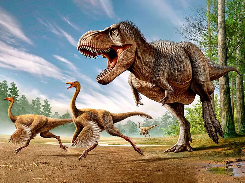 Did Dinosaurs Really Have Feathers