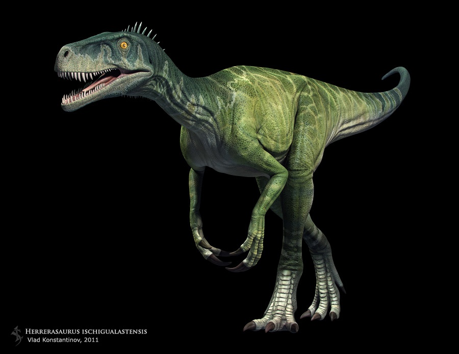 Herrerasaurus by Vlad Konstantinov