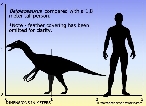 Beipiaosaurus 