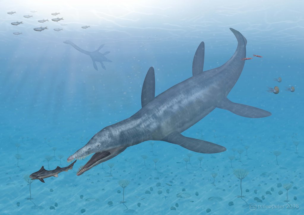Pliosaurus 