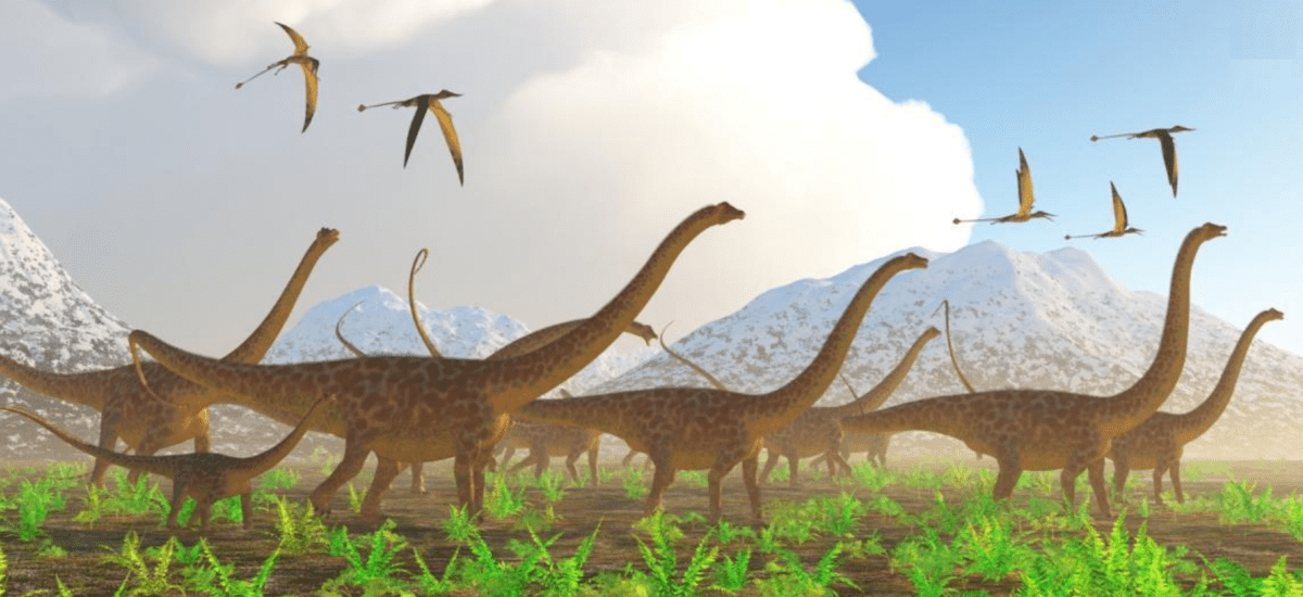 Diplodocus