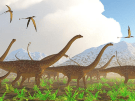 Diplodocus