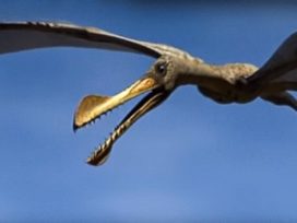 Flying dinosaurs